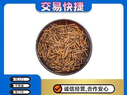 定西市回收散虫草